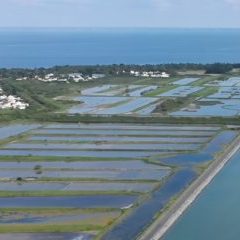 Vue aérienne des marais salants près de la mer.